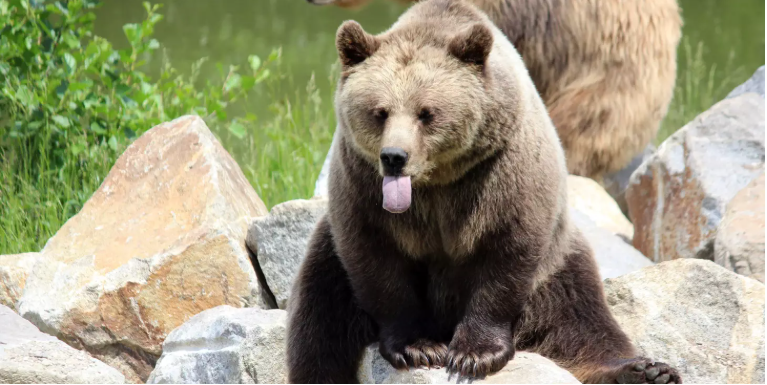 加密KOL：我在熊市持有哪些资产，并相信他们能穿越牛熊？