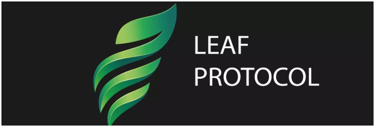 Degen Weekly:NFT期货,Terra 上的 EVM与DAO投资