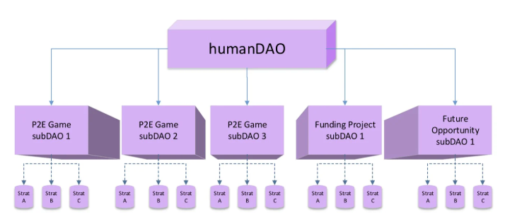 HumanDAO：无VC，社区驱动，公益打金为人民