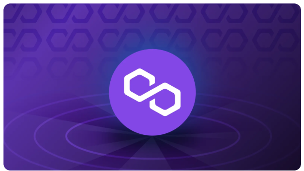 Coin Bureau：解析Polygon的当下与未来