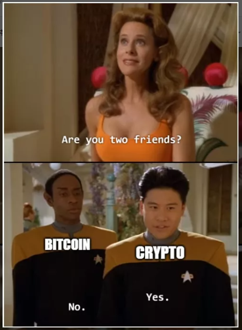 数字炼金术：加密货币崩盘的事后分析