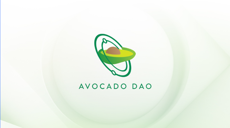 专访游戏公会 Avocado 创始人：更愿意称链游为Blockchain Game，而不是Gamefi