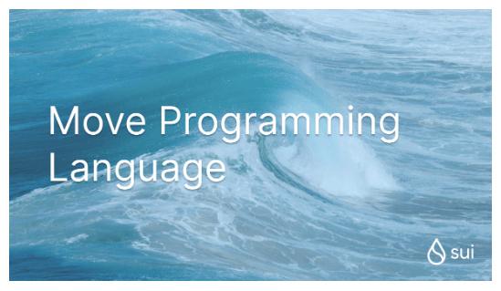 全面解析Move语言：起源、优势以及开发生态