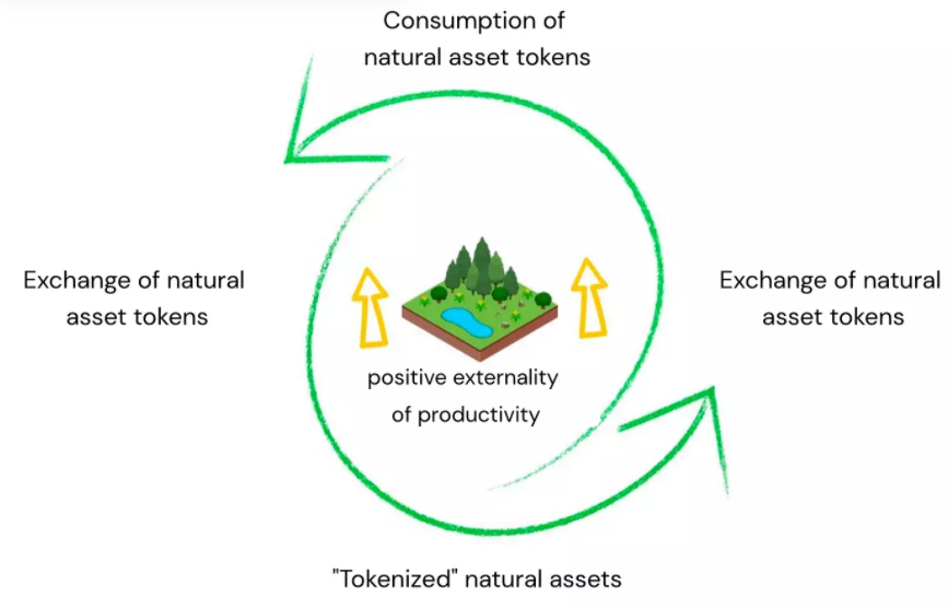 环境金融化：一文了解Web3碳信用市场和ReFi再生金融