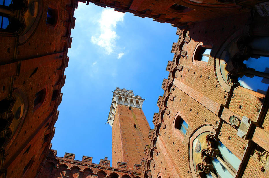 Cobo 神鱼 2023 下半年展望:从宏观大事到行业探索