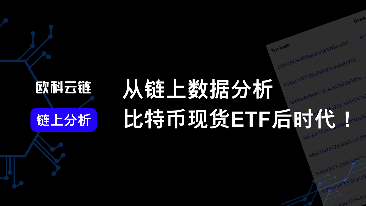 比特币现货 ETF 通过后的 2 个月:链上数据揭示 BTC 供不应求