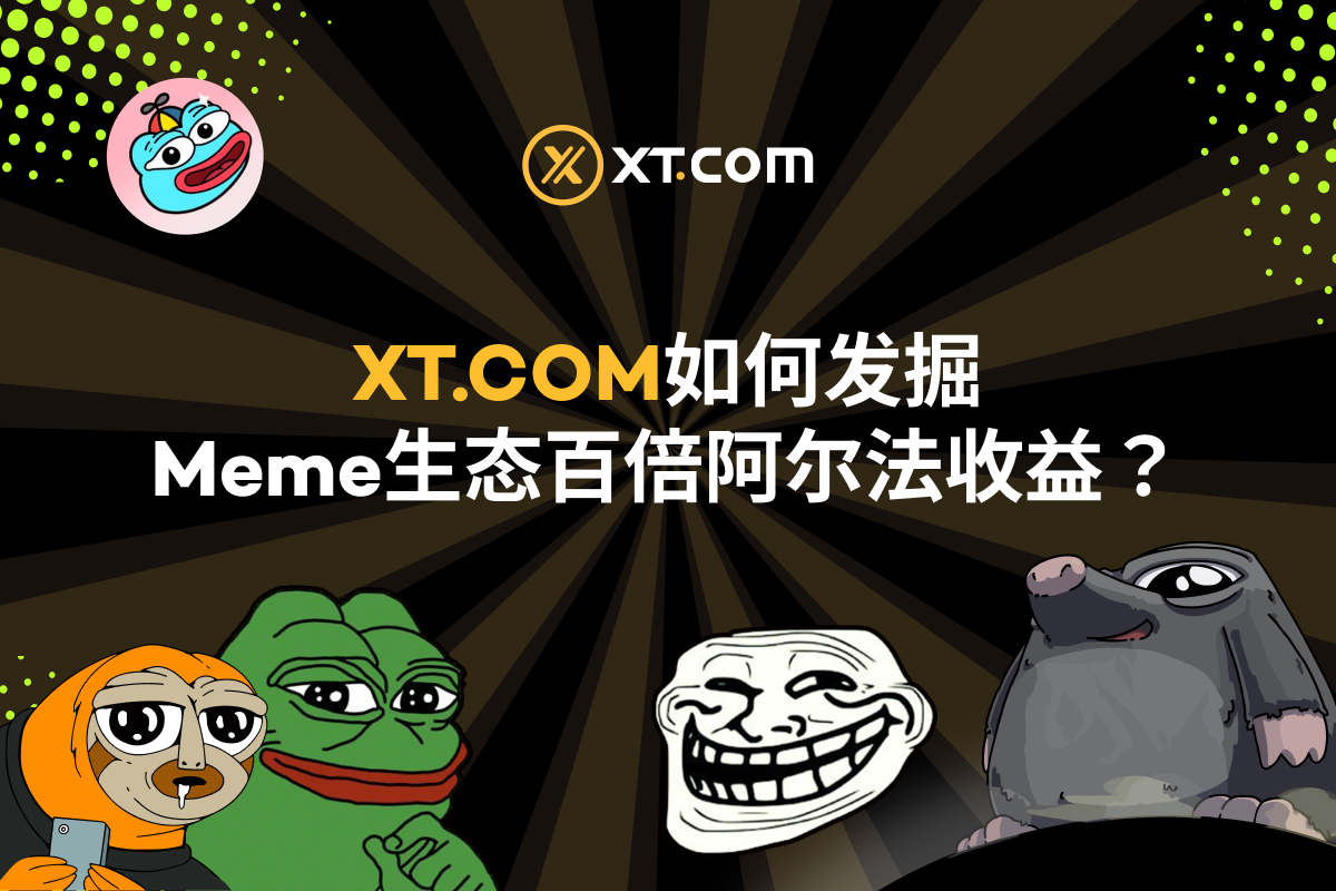 XT.COM 如何发掘 Meme 生态百倍阿尔法收益？