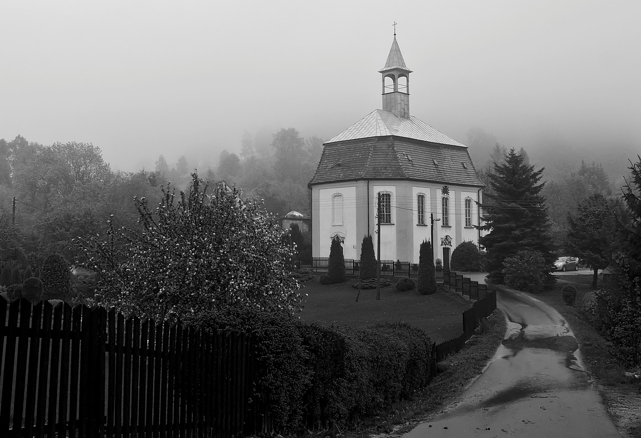 Vitalik:Degen 共产主义,唯一正确的政治意识形态