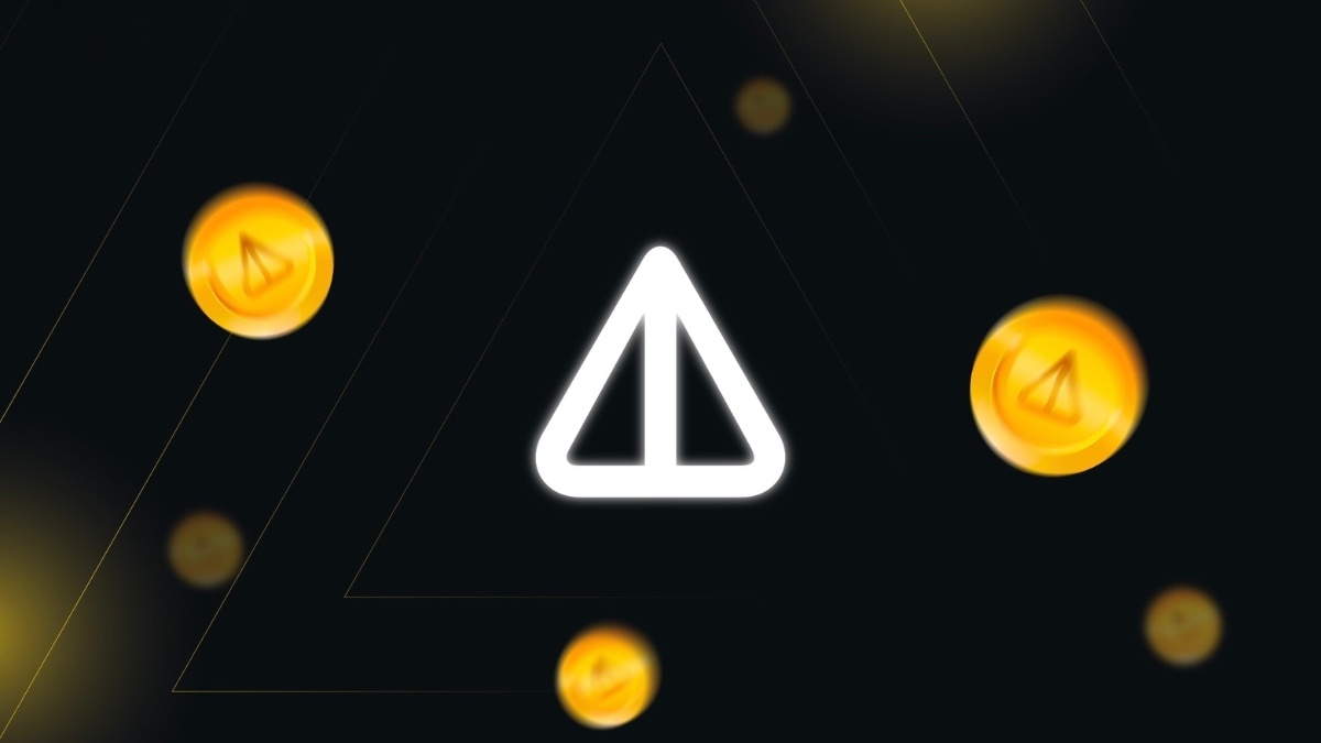 NOT 一路狂飙，哪些因素推动了暴涨？