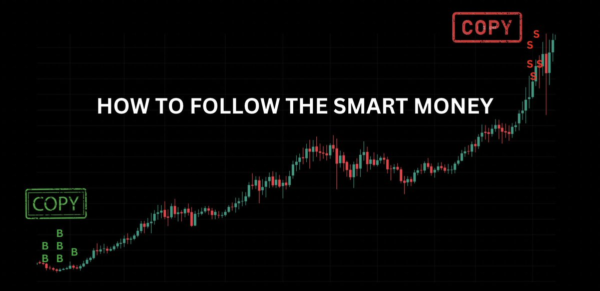 交易终极指南:如何聪明地跟踪聪明钱?