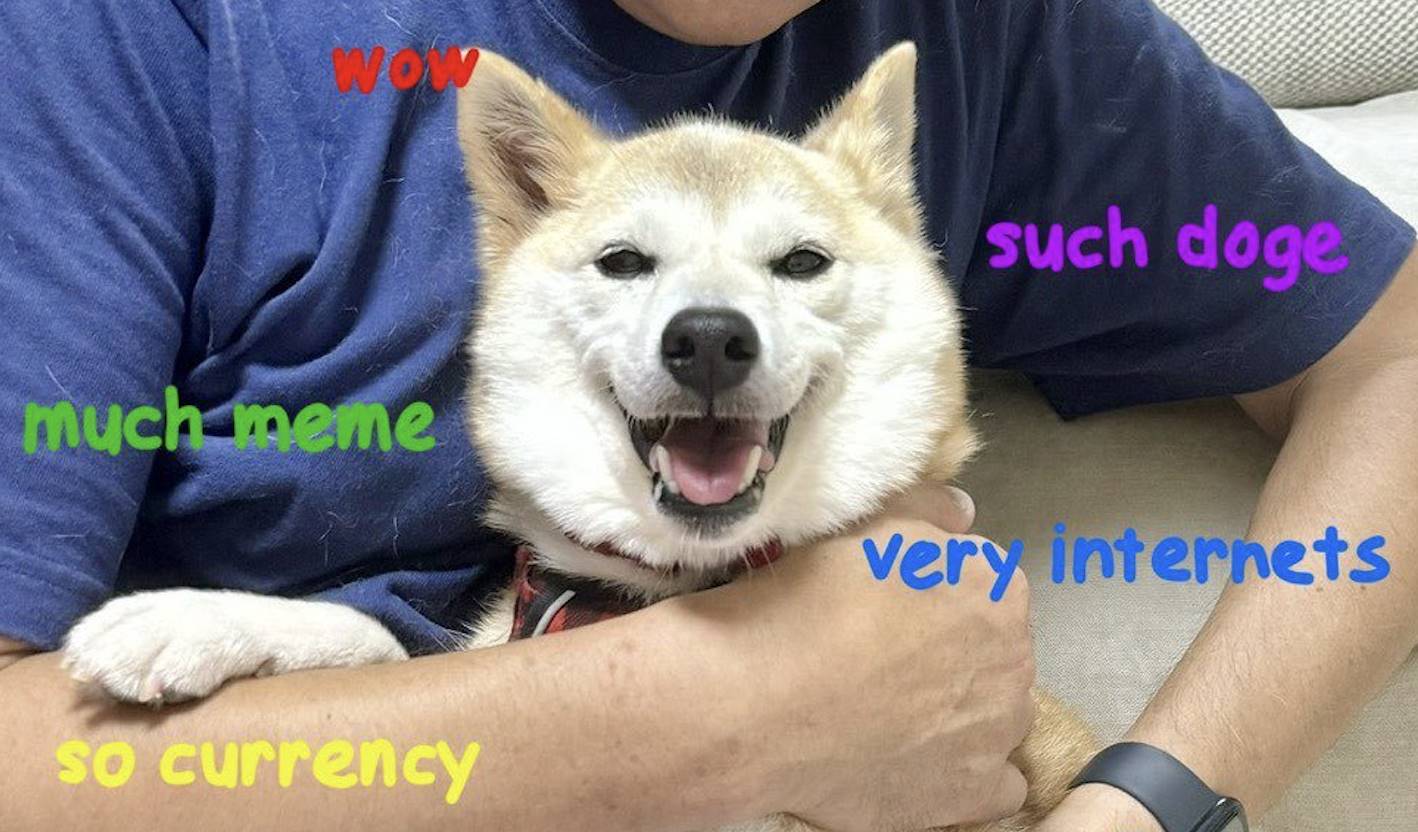 新柴犬 Neiro 登场，接棒 DOGE 成「Meme 币新王」？