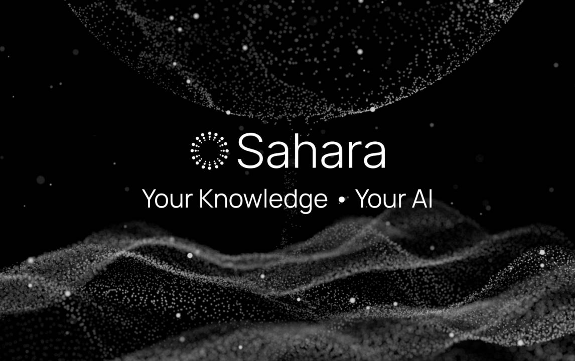 如何看待融资 4300 万美元的 Sahara AI？