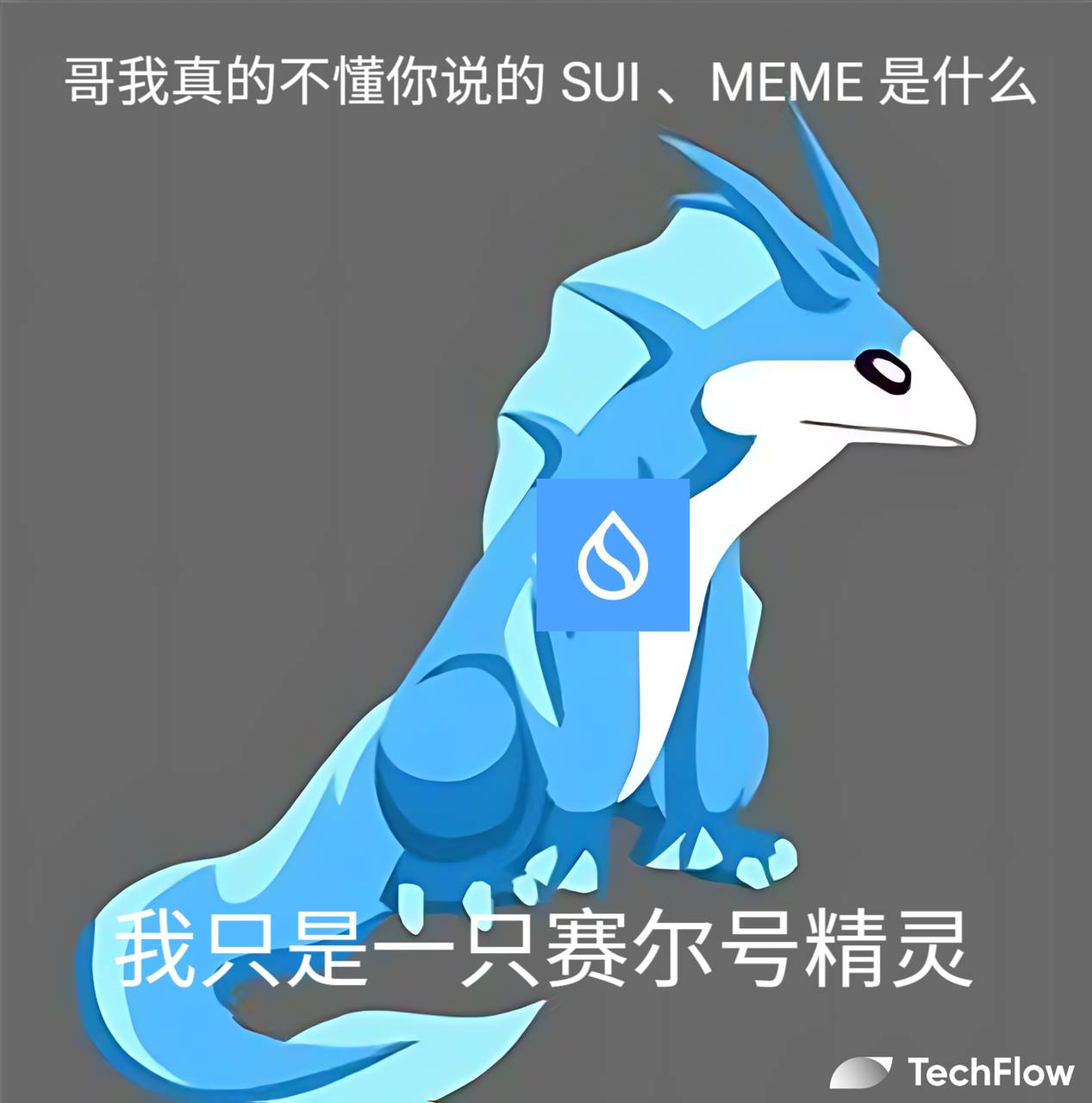 Sui 生态崛起，一文盘点当前热门的「水属性Meme」