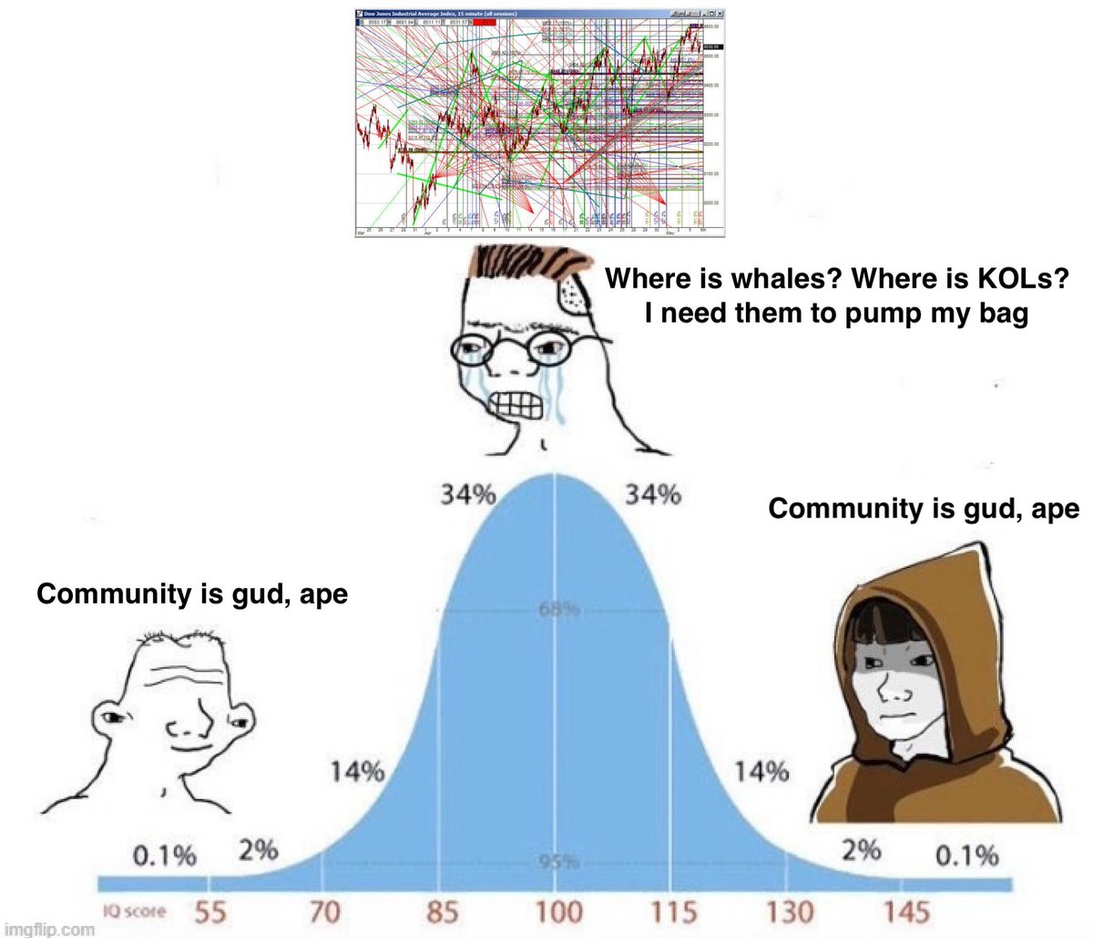 被长期忽视的 Memecoin 视角：社区