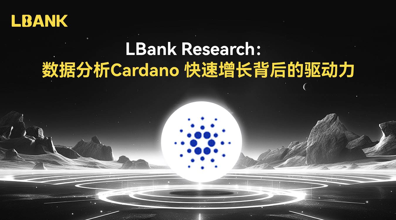 LBank Research:数据分析 Cardano 快速增长背后的驱动力