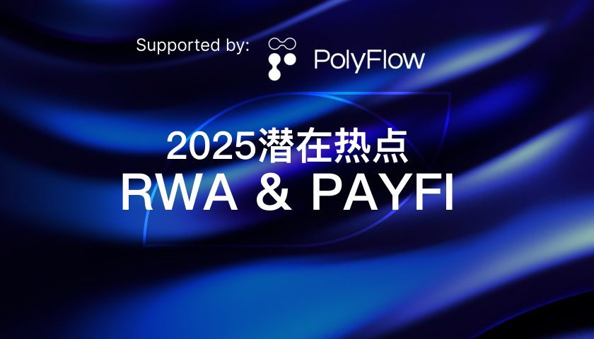 2025 潜在热点：RWA & PayFi