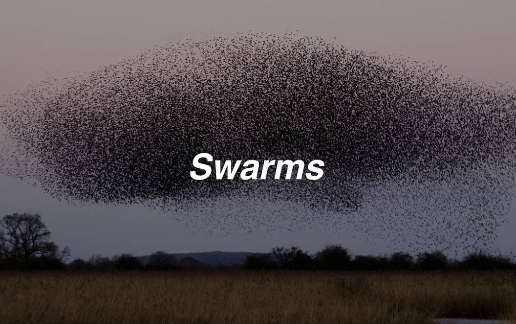 Swarms, the new AI Agent darling, surged 7x in a week—what other ecosystem projects hold potential?