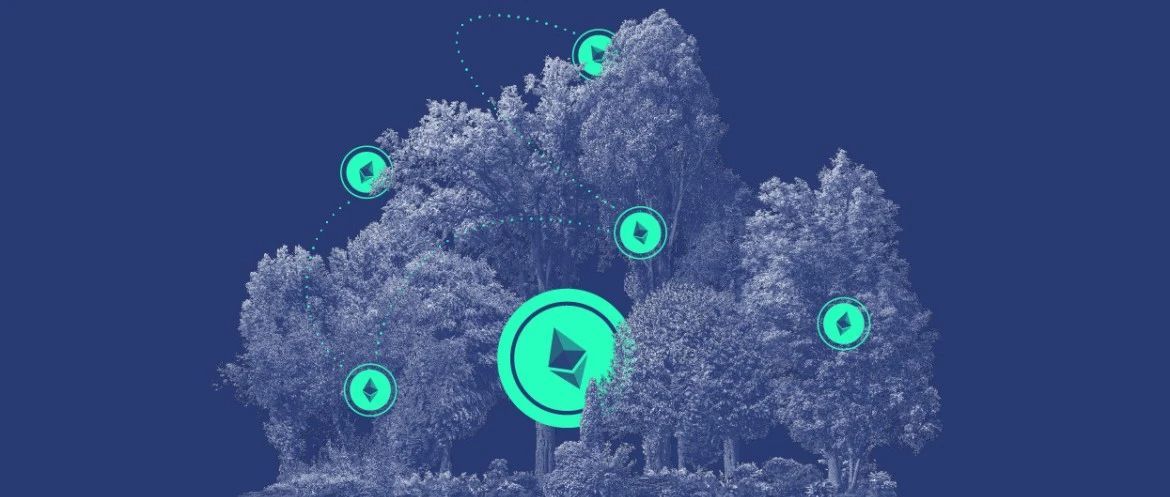 MEV 三明治攻击全解析:从排序到闪兑的致命链条