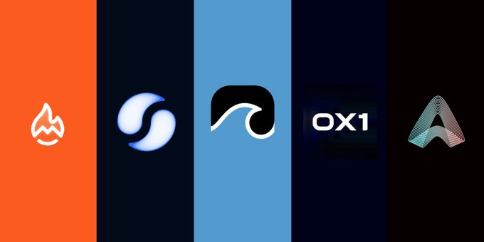 错过了 Walrus 海象空投?没关系,还有 5 个 Sui 生态项目更值得参与