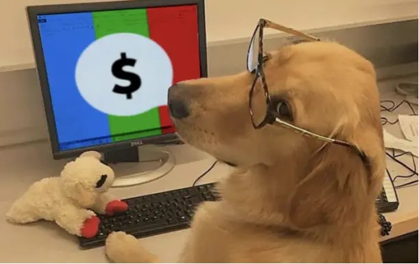 发帖即挖矿,一文读懂结合 AI 代理的代币化论坛 subs.fun