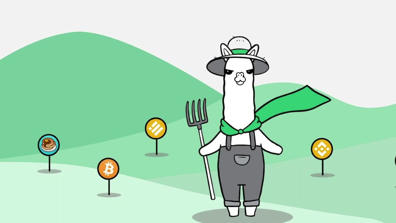 回望羊驼:当利空成为短暂的财富密码