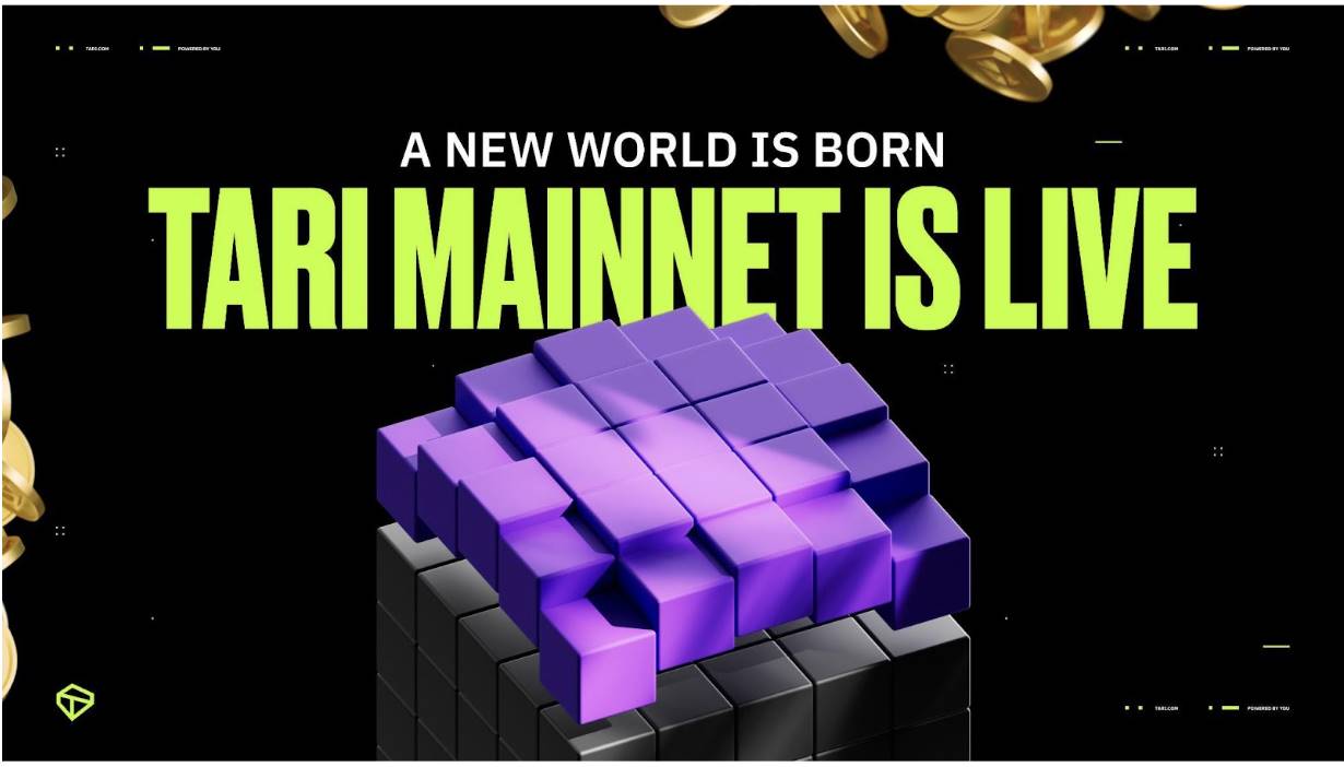 Tari 主网正式上线：最简单快捷的加密挖矿方式