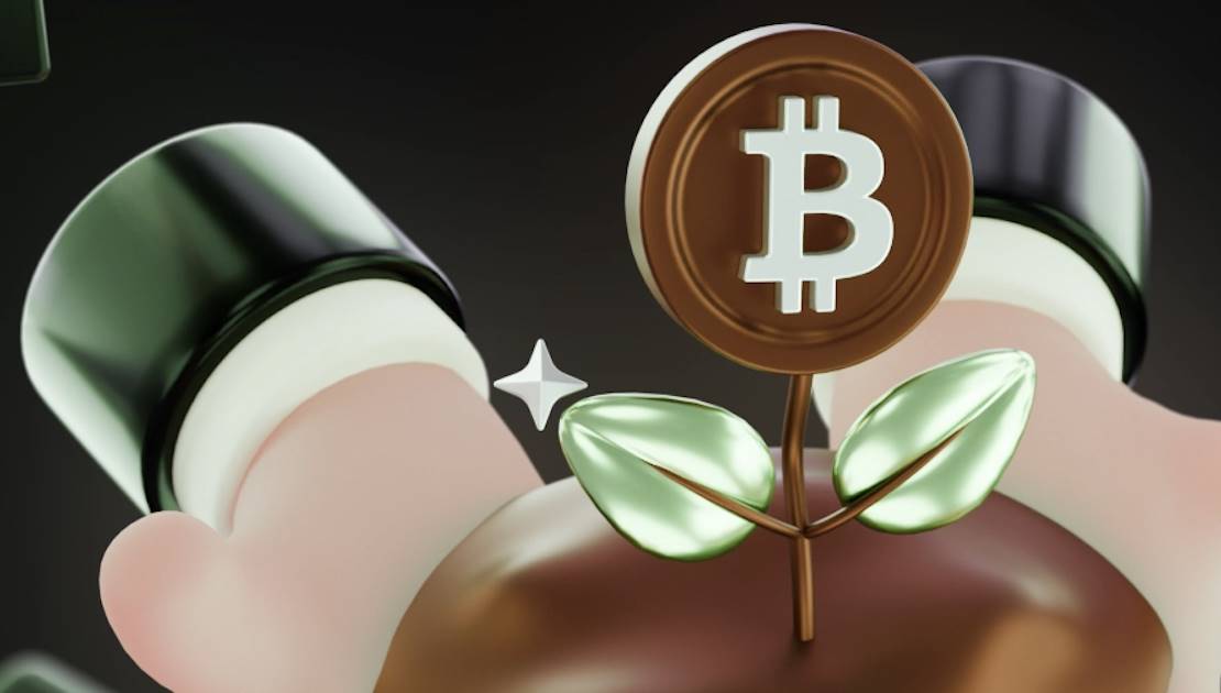 加密货币挖矿不死，只是藏在了上海的写字楼里