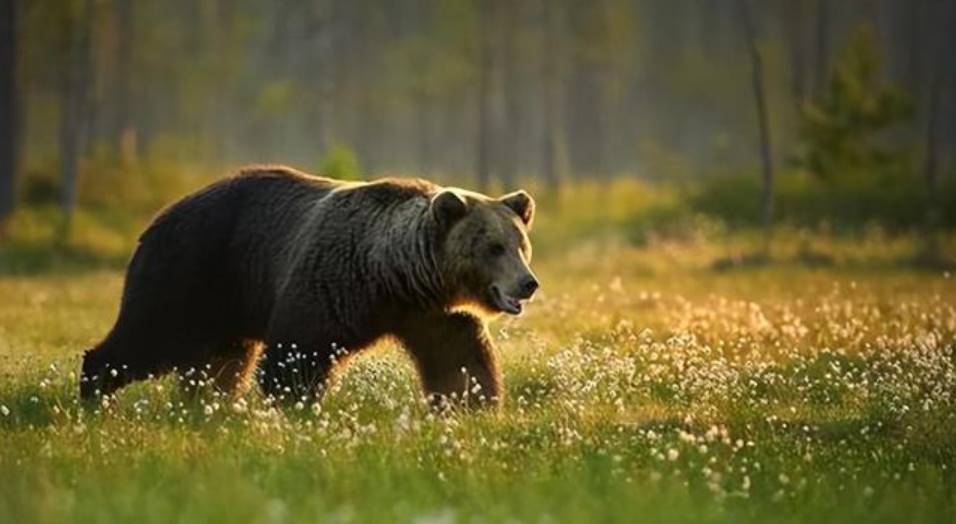 战争阴影下,加密市场再度沦为惊弓之鸟?