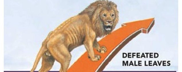 交易中的生物陷阱：为什么小赢比 100 倍更靠谱？