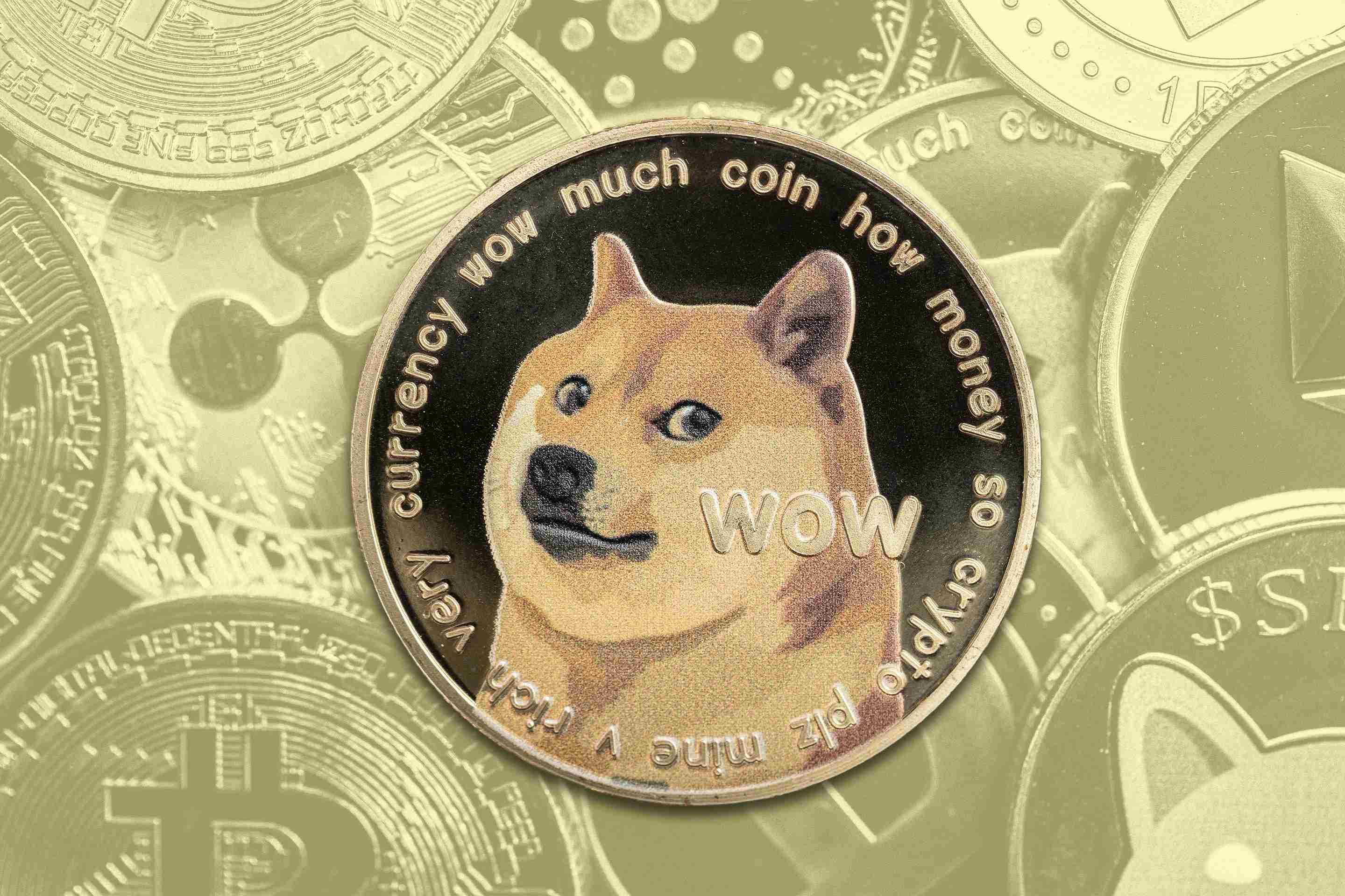 一文带你了解马斯克与“政府效率部 DOGE”