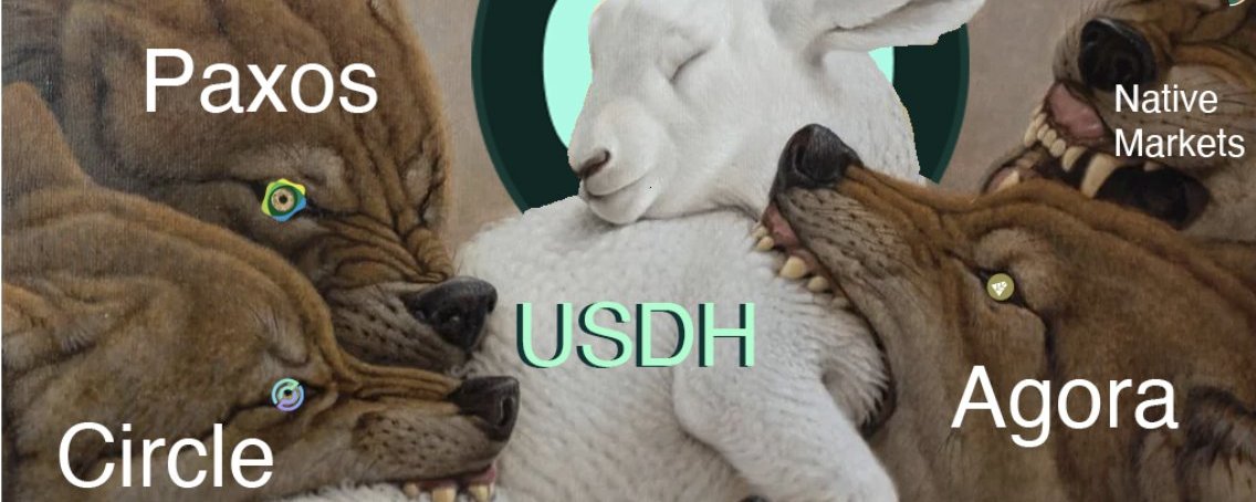 盘点 USDH 铸币权六大主要竞争者, 我押注了 Ethena