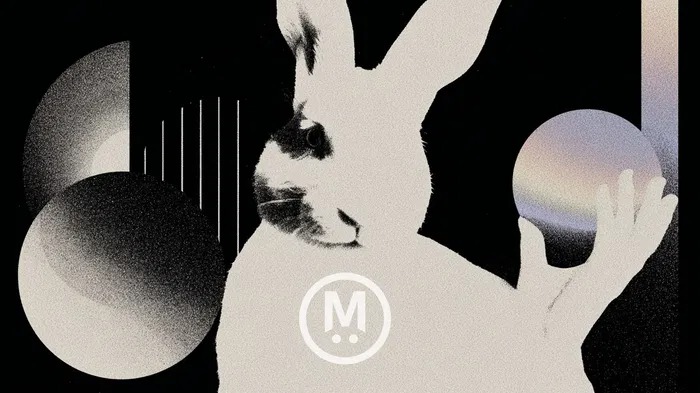 如何参与 MegaETH 公募,看看当前最火的 ICO 打新平台