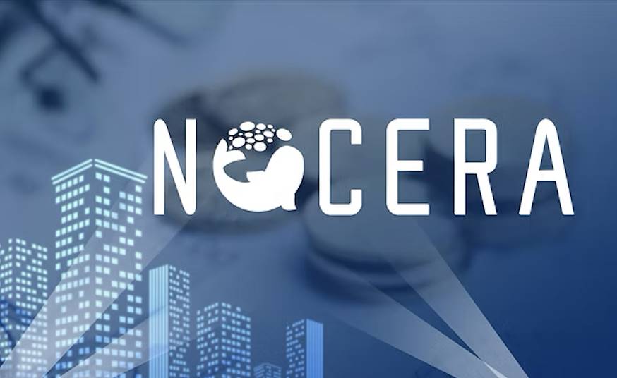 水产公司 Nocera 获 3 亿美元私募融资,用于支持数位资产战略与策略收购
