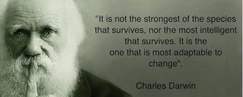 DeFi 的自然選擇:適者生存