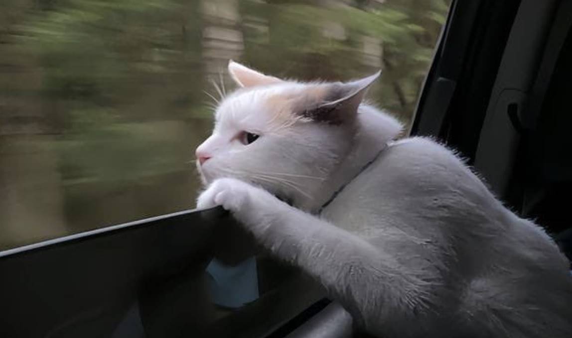 全球大暴跌,究竟发生了什么?