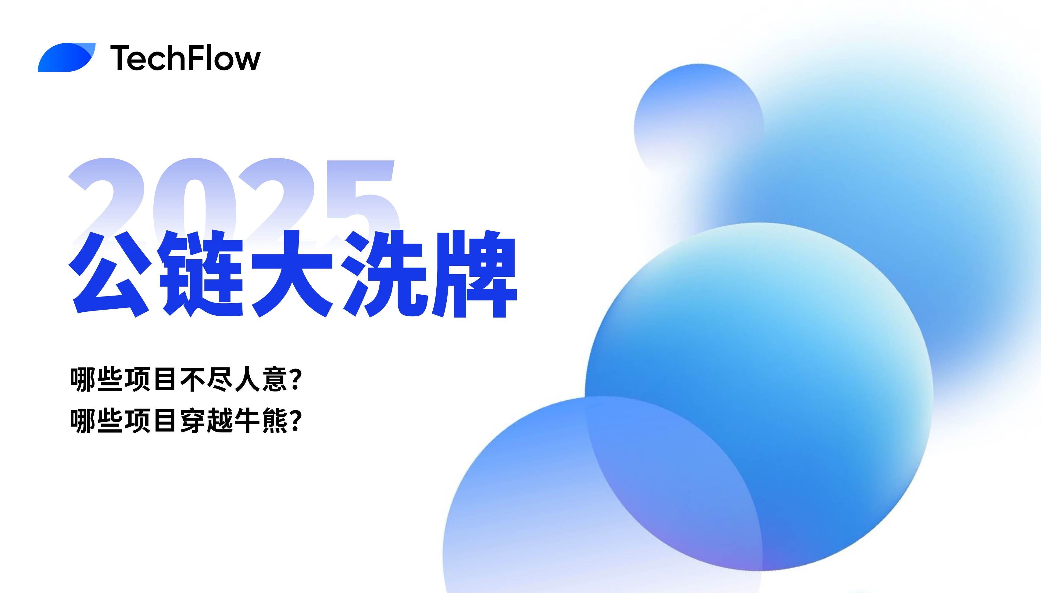 2025 公链大洗牌：哪些项目值得你穿越牛熊？