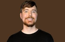 Did Tom Lee say he shares the same values as MrBeast?