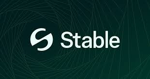 Stable 支付公链 - 投研报告