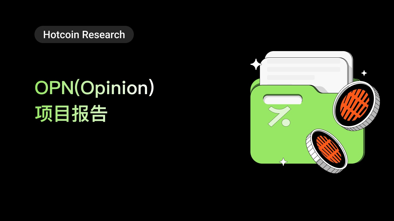 OPN（Opinion）项目报告