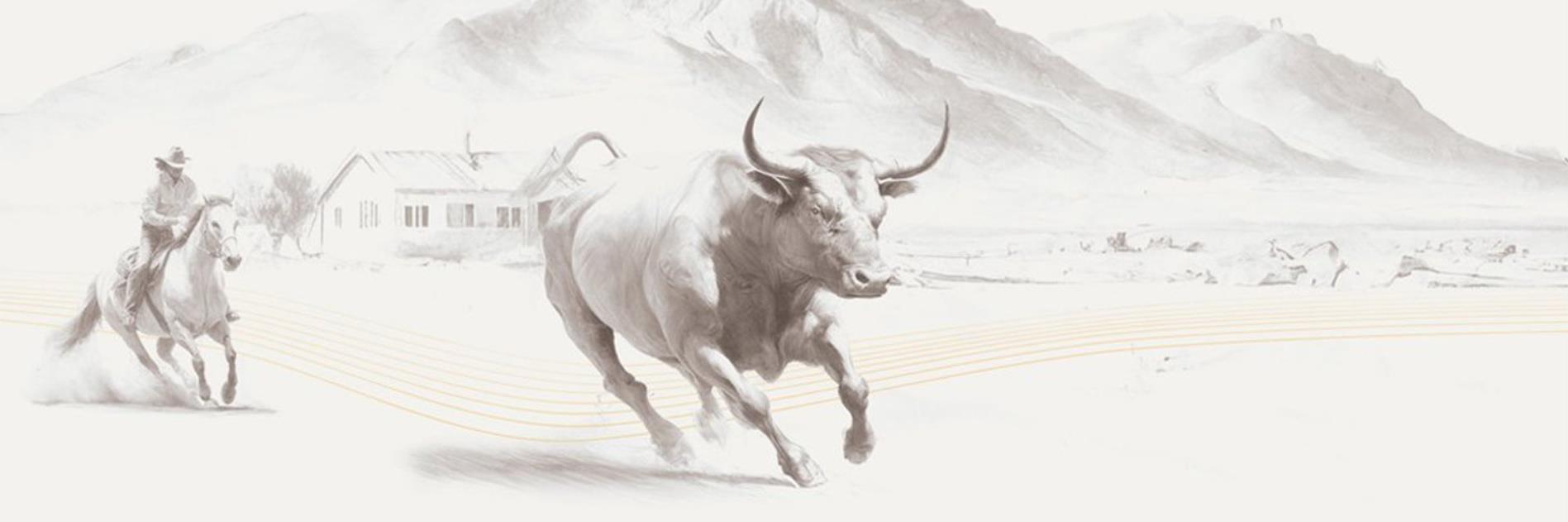Rodeo Finance