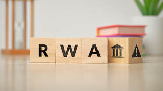 以 RWA 项目方角度，聊聊搞 RWA 项目真实踩过的坑