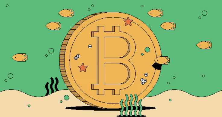 Coinbase 年度总结:加密货币不仅会一直存在,而且是货币的未来