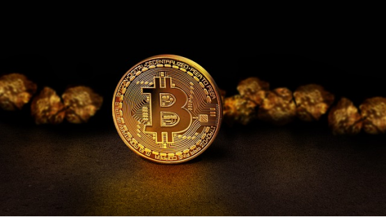 Institutions pile in with predictions: Where is the 2024 crypto market headed?