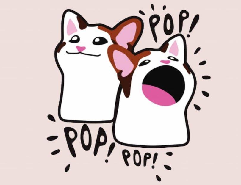Under the Solana meme wave, which cats and dogs have become community stars?