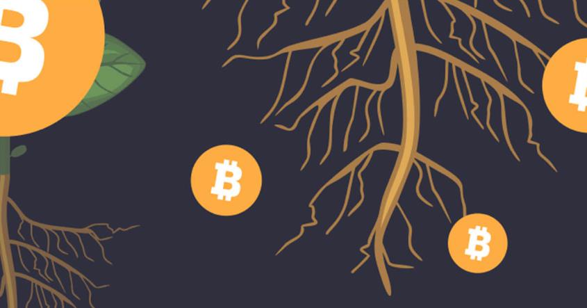 ビットコインエコシステム内のインスクリプションの熱狂が持続するとは限らない。では、何が持続するのか?