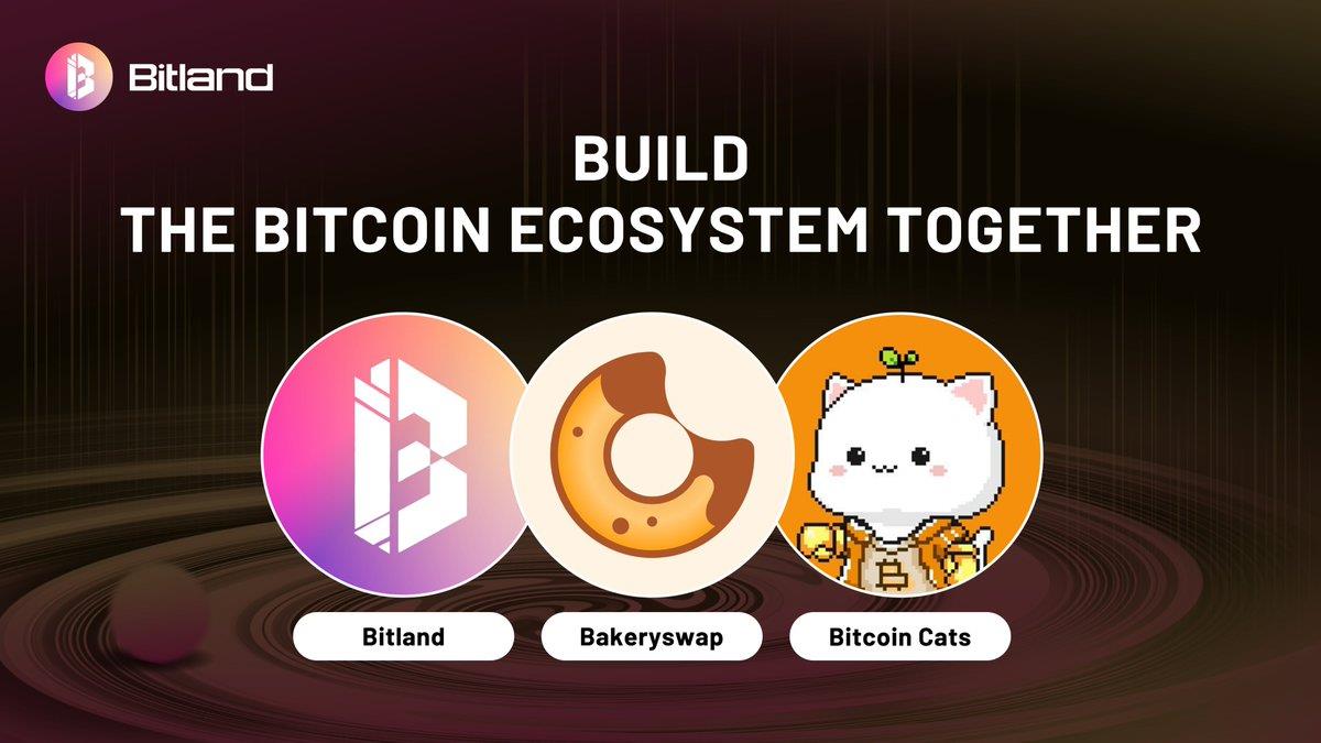 Bakery 第二期 Launchpad 項目 Bitland 能否復刻 1Cat 成功之路?