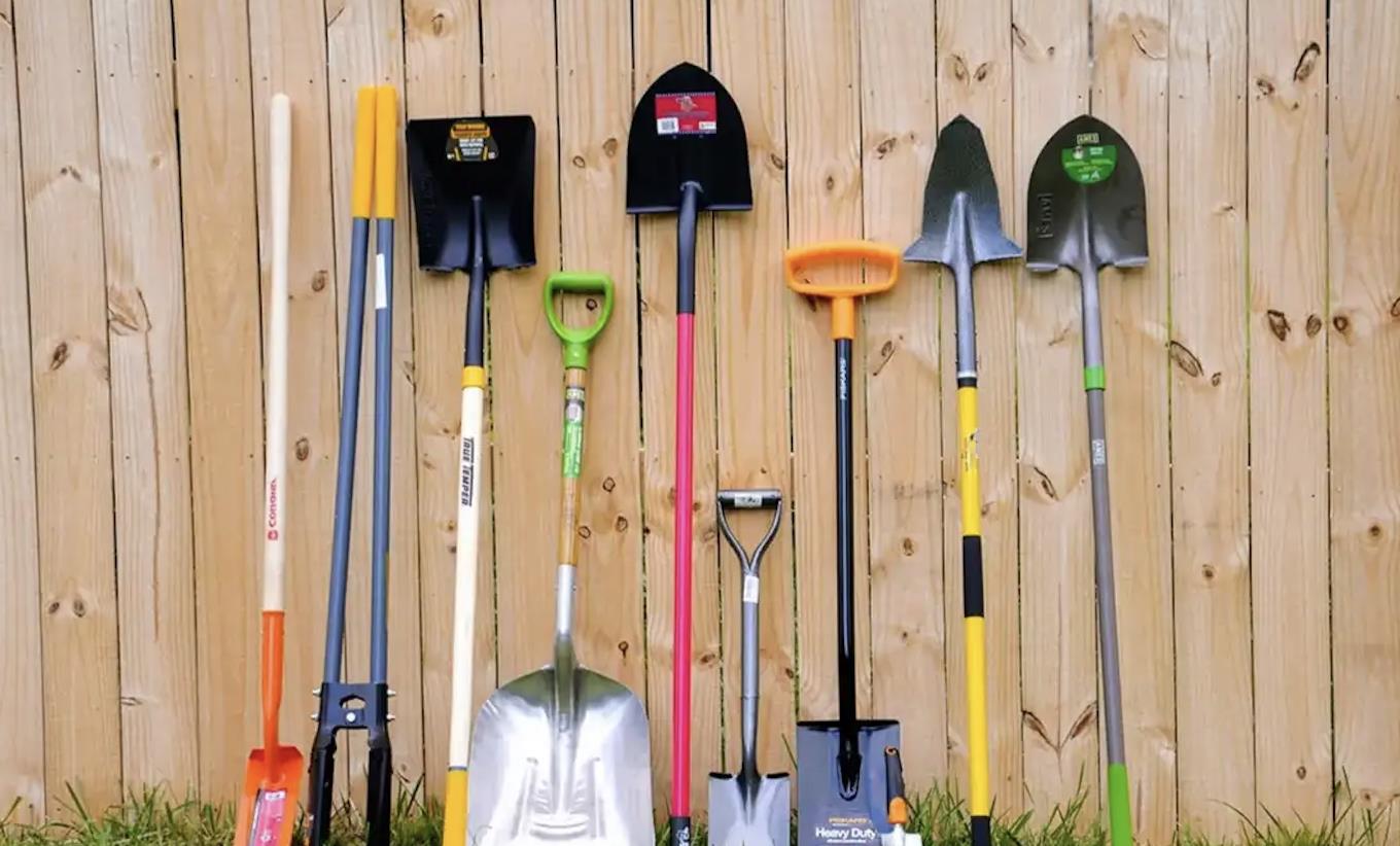 Mùa cuốc 50 ngày sắp kết thúc rồi sao?