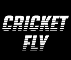 Cricket Fly