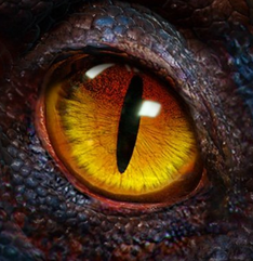Age of Dino