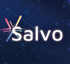 Salvo